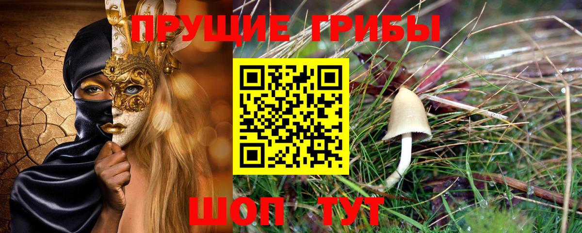 где купить наркоту  Галлюциногенные грибы ЛСД  Вход с VPN  Галлюциногенные грибы Psilocybine cubensis  Шахты 